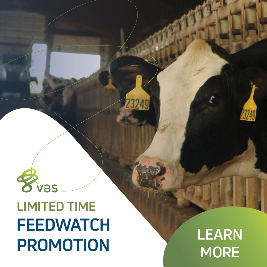 URUS Group qxyxhdodesign