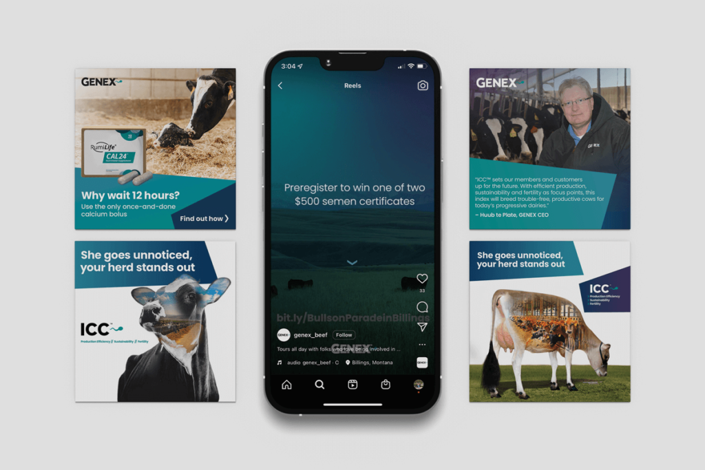 URUS Group qxyxhdodesign